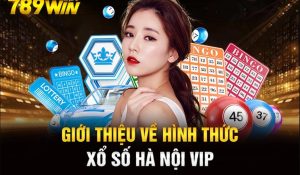 Hà Nội VIP