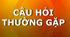 Câu hỏi thường gặp