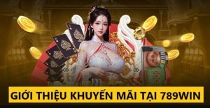 khuyến mãi hội viên VIP