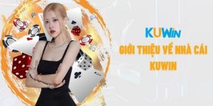 Các giai đoạn phát triển gian nan của nhà cái
